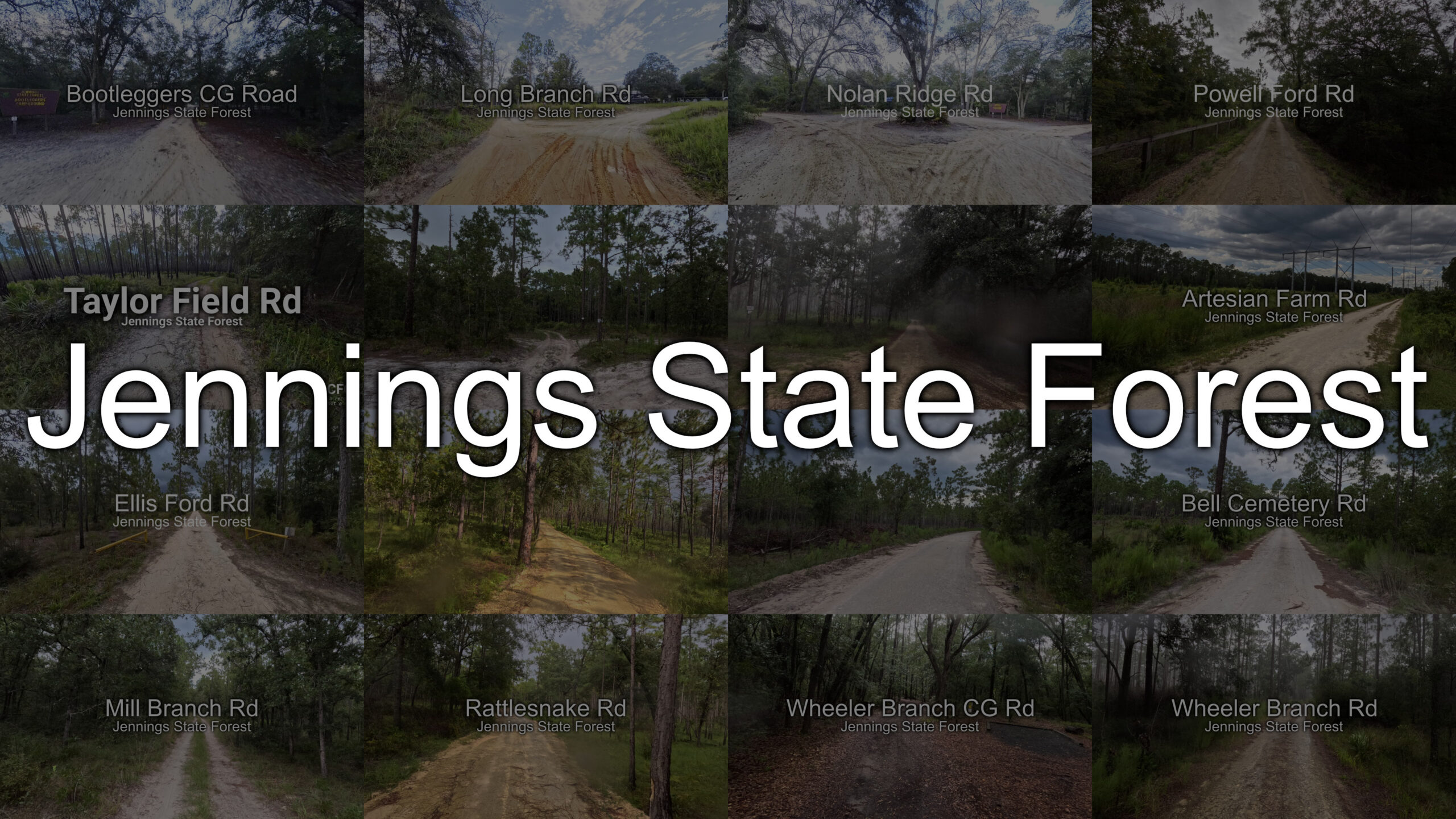 Exploring Jennings State Forest: Every Open Road, Mapped and Driven